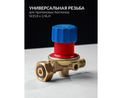 Горелка пропановая в наборе ГП-400Н 400 мм, стаканы 50 мм / 17 мм, шланг 5 м, редуктор ЗУБР Профессионал 55545-H5
