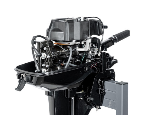 T9.8BMS (T9.8BMS)