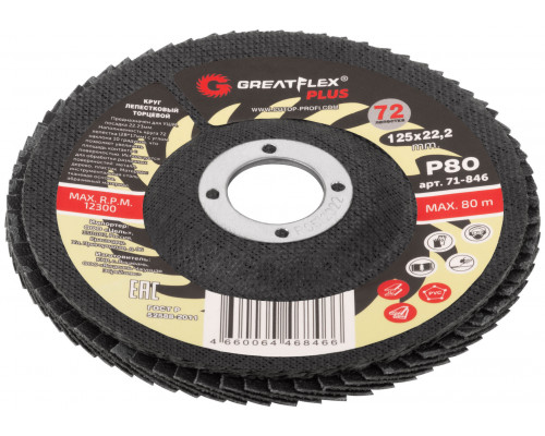 Круг лепестковый торцевой GreatFlex Plus (72 лепестка) 125 х 22,2 мм, P80 (71-846)