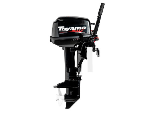 T9.8BMS (T9.8BMS)
