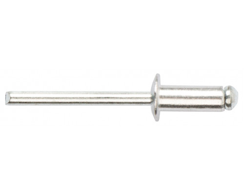 Заклепки мелкая фасовка, 50 шт., 4.8 х 12 мм (23762)