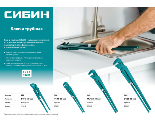 СИБИН №1, 1
