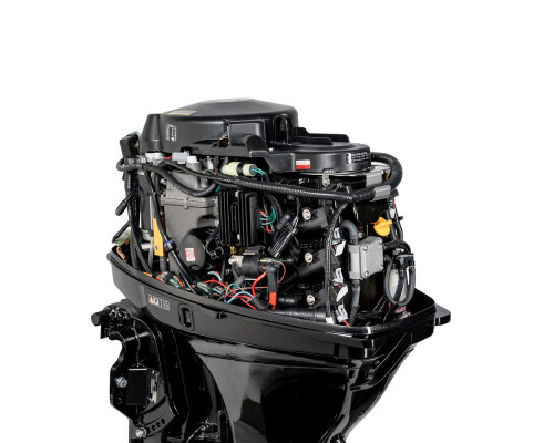 F40FEL-T-EFI (F40FEL-T-EFI)