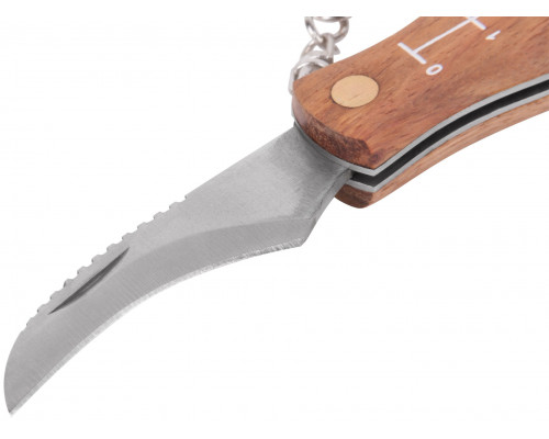 Нож грибника складной, нерж.сталь, деревянная ручка, 170 мм, изогнутое лезвие 45 мм, кисточка, брелок (10745)