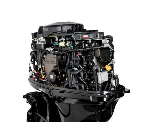 F50FEL-T-EFI (F50FEL-T-EFI)