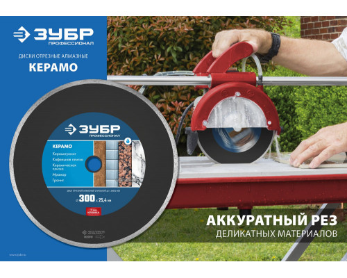 Диск алмазный сплошной Керамо-25 d 300 мм, 25.4 мм, 7 мм ЗУБР Профессионал 36655-300