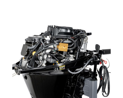 F20ABWS-EFI (F20ABWS-EFI)