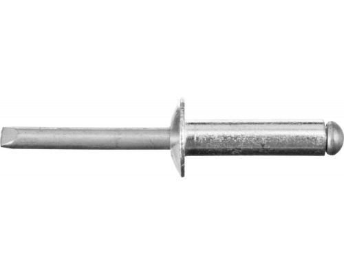 STAYER Pro-FIX, 4.8 х 20 мм, 500 шт, алюминиевые заклепки, Professional (31205-48-20)