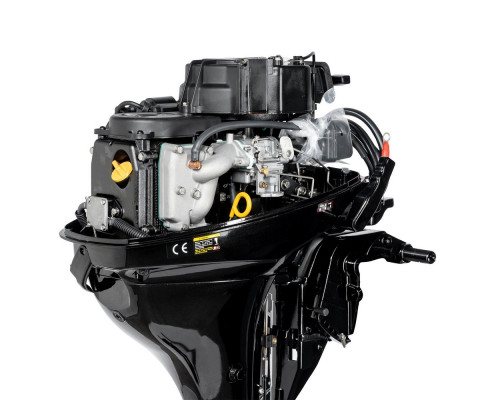 F9.8FWS (F9.8FWS)