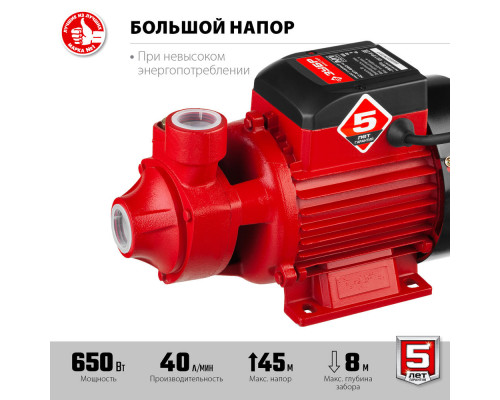 Насос вихревой поверхностный 650 Вт, корпус из чугуна ЗУБР НС-М1-650-Ч