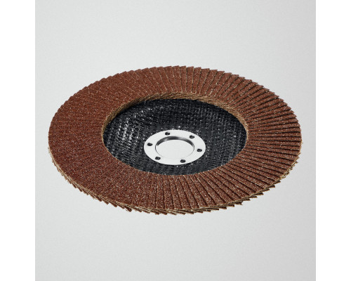 Круг лепестковый торцевой КЛТ 125 х 22.2 мм, P80 Professional STAYER 36581-125-080_z01