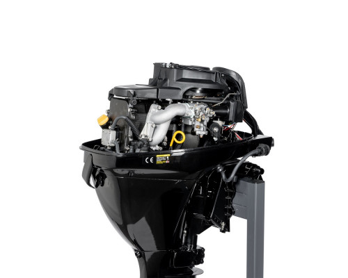 F9.9FWS (F9.9FWS)