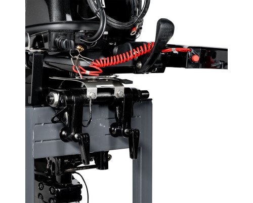 F20AFWS-EFI (F20AFWS-EFI)
