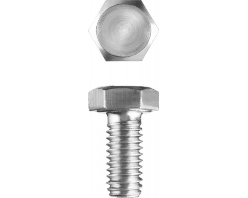 Болт M5 x 10 мм, кл. пр. 5.8, цинк, 5 кг, ГОСТ 7798-70 ЗУБР 303080-05-010