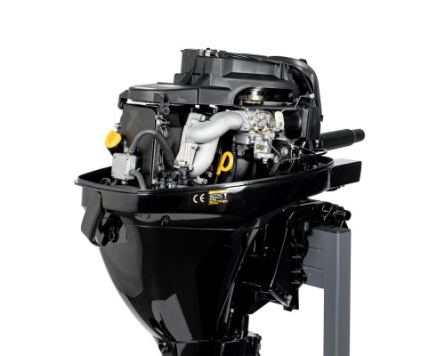 F9.9BMS (F9.9BMS)