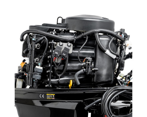 F50FEL-T-EFI (F50FEL-T-EFI)