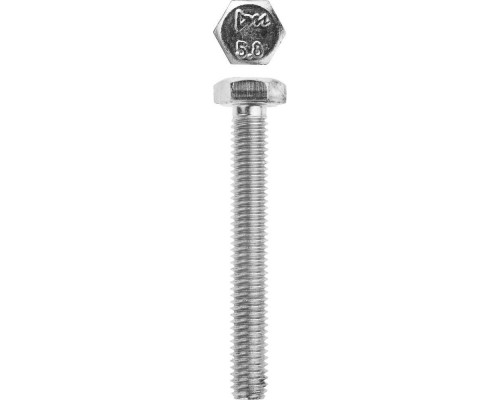 Болт M6 x 45 мм, кл. пр. 5.8, цинк, 5 кг, ГОСТ 7798-70 ЗУБР 303080-06-045