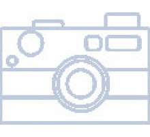 Генератор бензиновый TOR TR2500E 2,0кВт 220В 15л с кнопкой запуска (2897181)