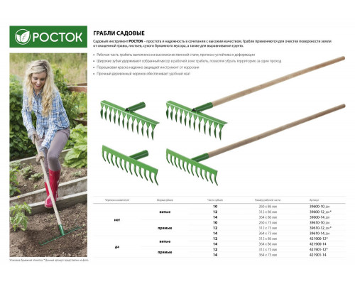 Грабли РОСТОК 370 x 100 x 1300 мм, 12 витых зубьев, сталь, покрытие краска, деревянный черенок высший сорт 421900-12