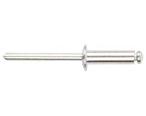 Заклепки мелкая фасовка, 50 шт., 4.8 х 16 мм (23766)