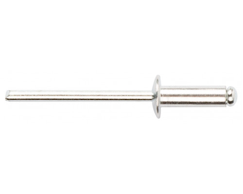Заклепки мелкая фасовка, 50 шт., 4.0 х 12 мм (23742)