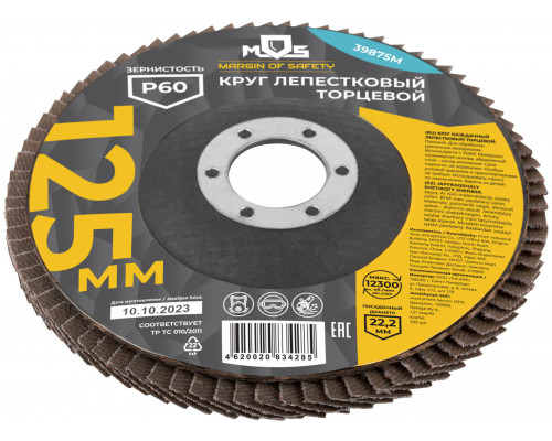 Круг лепестковый торцевой плоский 125 мм P 60 (39875М)