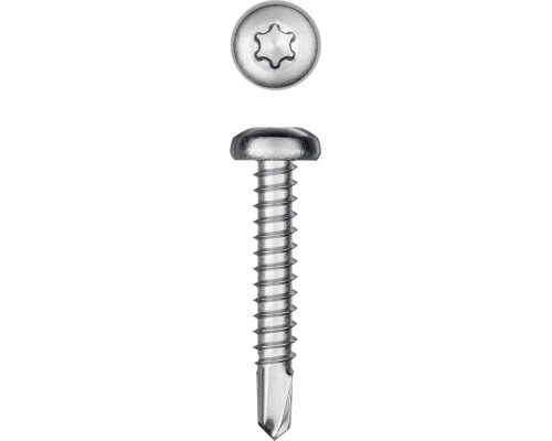 KRAFTOOL DS-P, 32 х 3.9 мм, А2, сверло, полукруглая головка, ТХ15, 380 шт, саморез нержавеющий (300931-39-032)