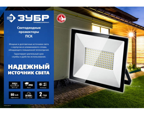 Прожекторы светодиодные на штативе 2 х 50 Вт, 6500 К, IP65, 1.6 м ЗУБР ПСК 50х2 Профессионал 57145-2-50