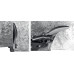 Ножницы по металлу правые Hercules, 250 мм STAYER Professional 2321_z01